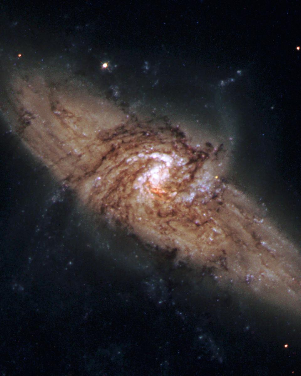 NGC 3314: When Galaxies Overlap