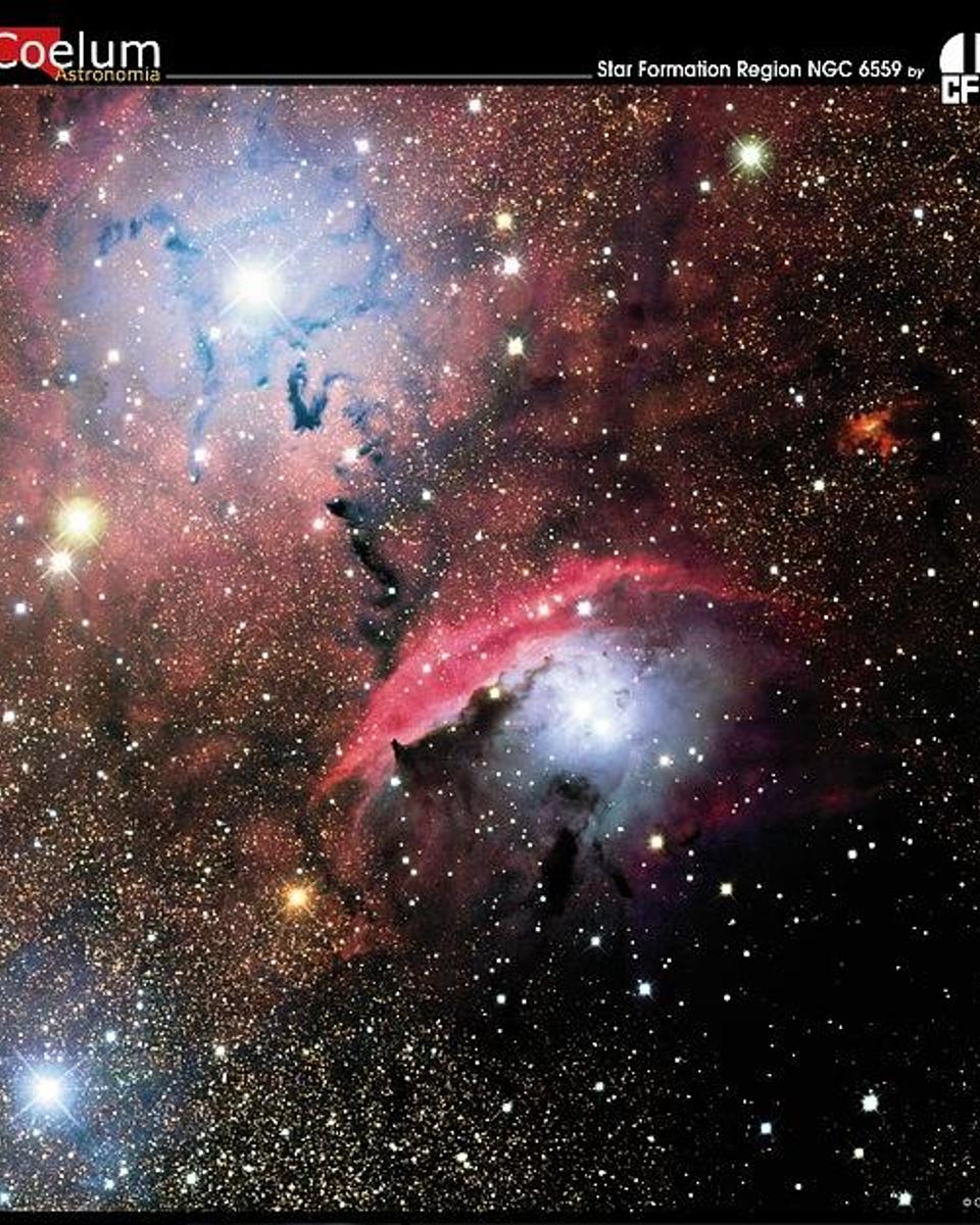 Stars, Dust and Nebula in NGC 6559