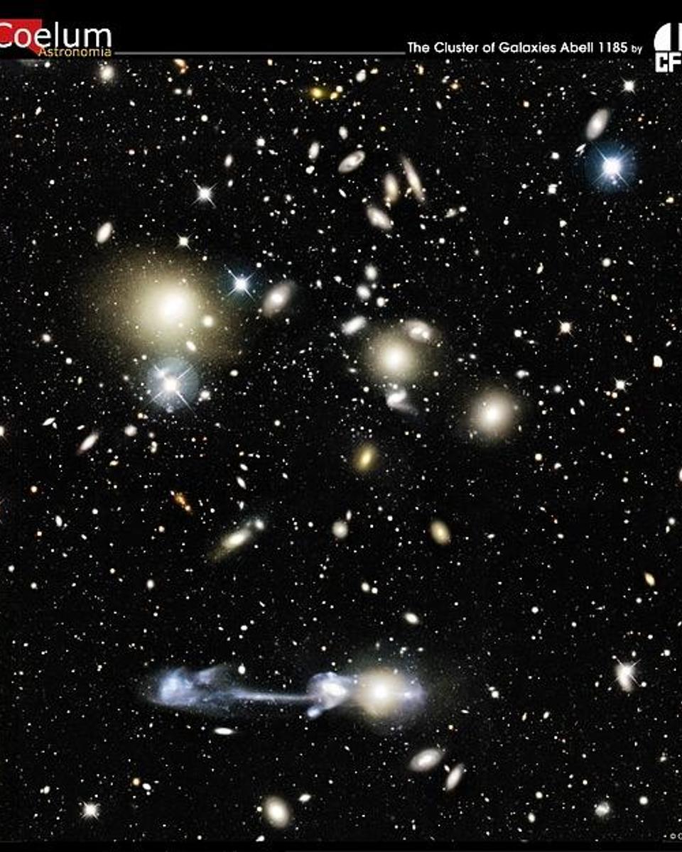 Galactic Collision in Cluster Abell 1185