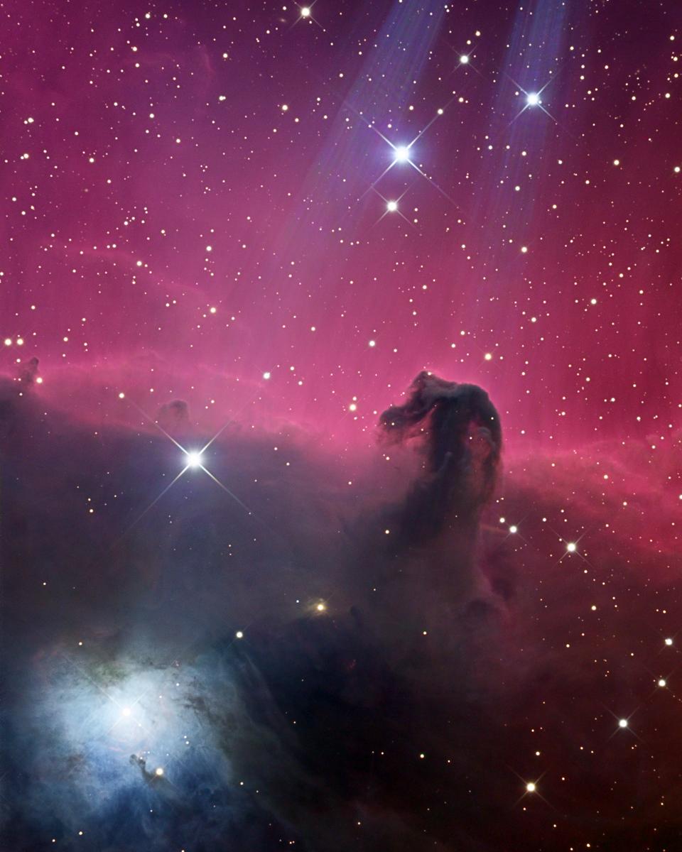 Reflections on the Horsehead Nebula