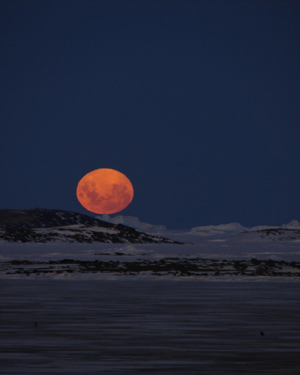 Moon Over Antarctica