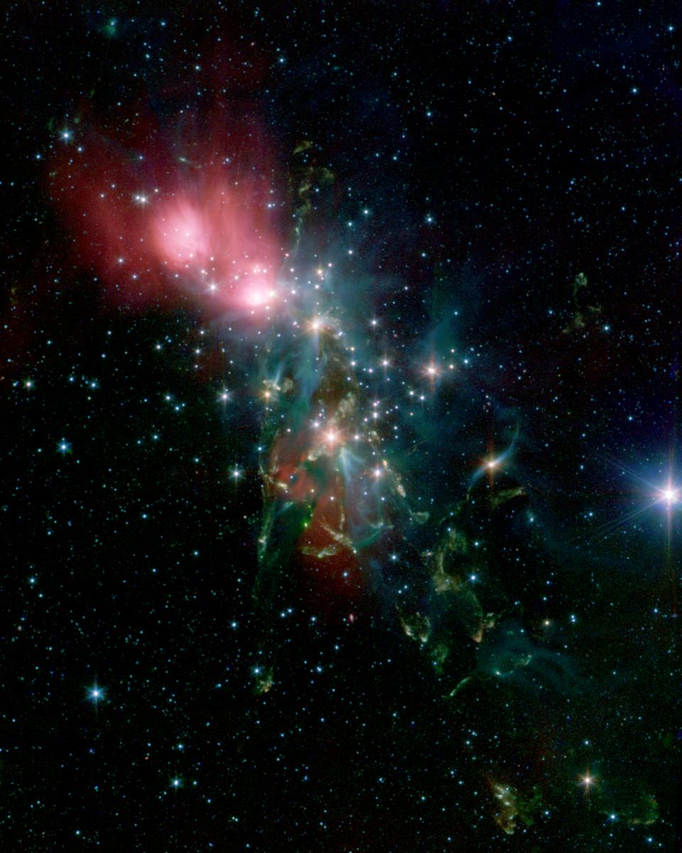Dusty NGC 1333