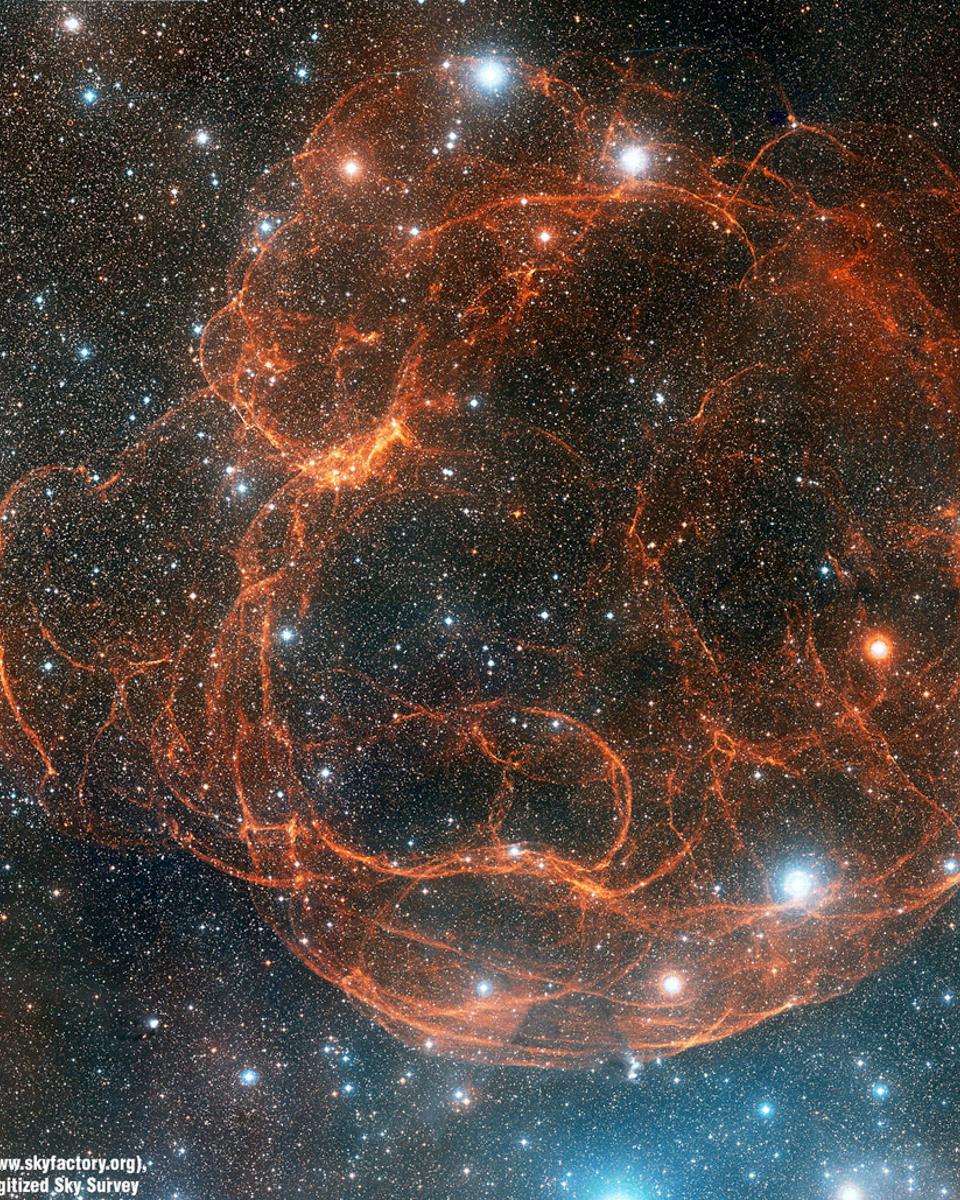 Simeis 147: Supernova Remnant from Palomar