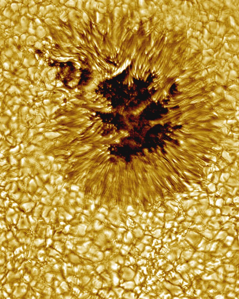 A Sunspot Up Close
