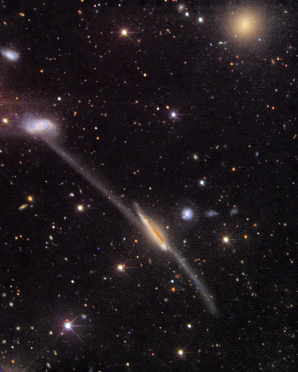 Peculiar Arp 295