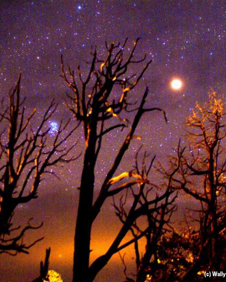 A Martian Halloween