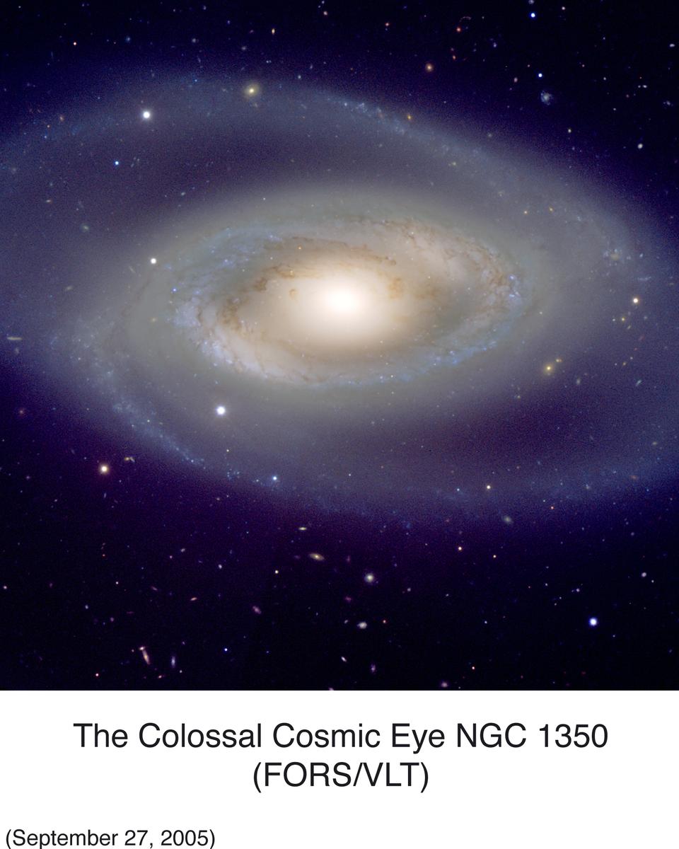 Spiral Galaxy NGC 1350