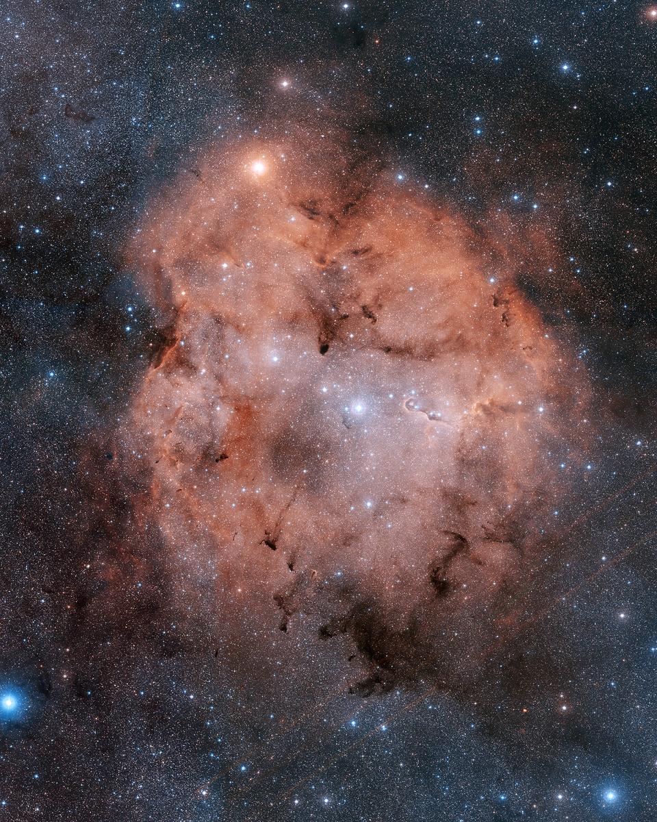IC 1396 in Cepheus