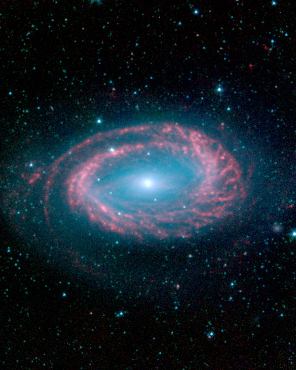 One-Armed Spiral Galaxy NGC 4725