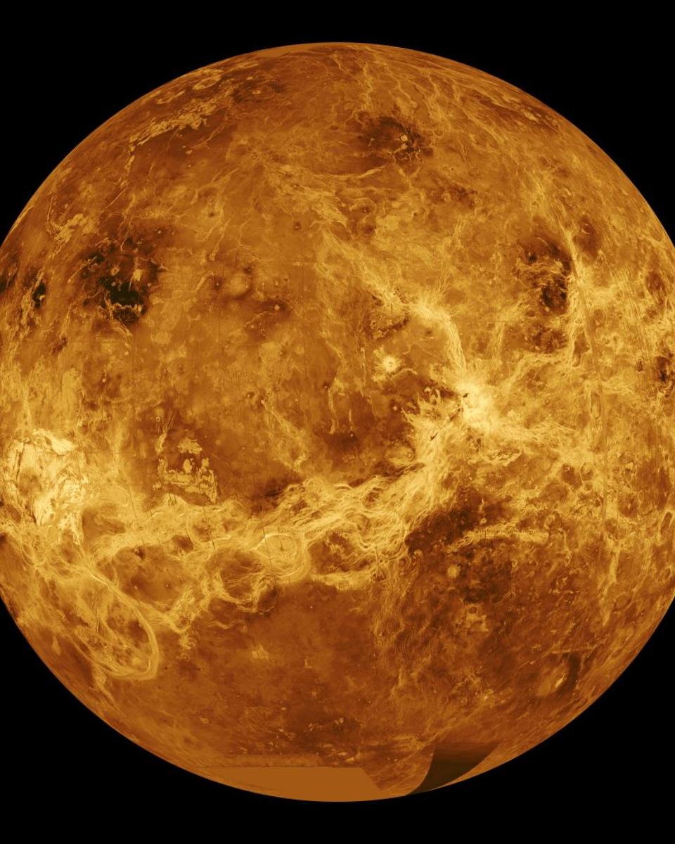 Venus Unveiled