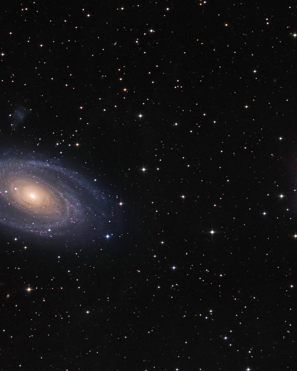 Galaxy Wars: M81 versus M82