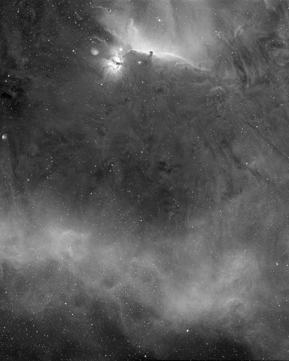 Barnard's Loop around the Horsehead Nebula