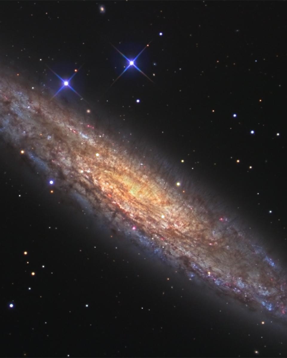 NGC 253: Dusty Island Universe