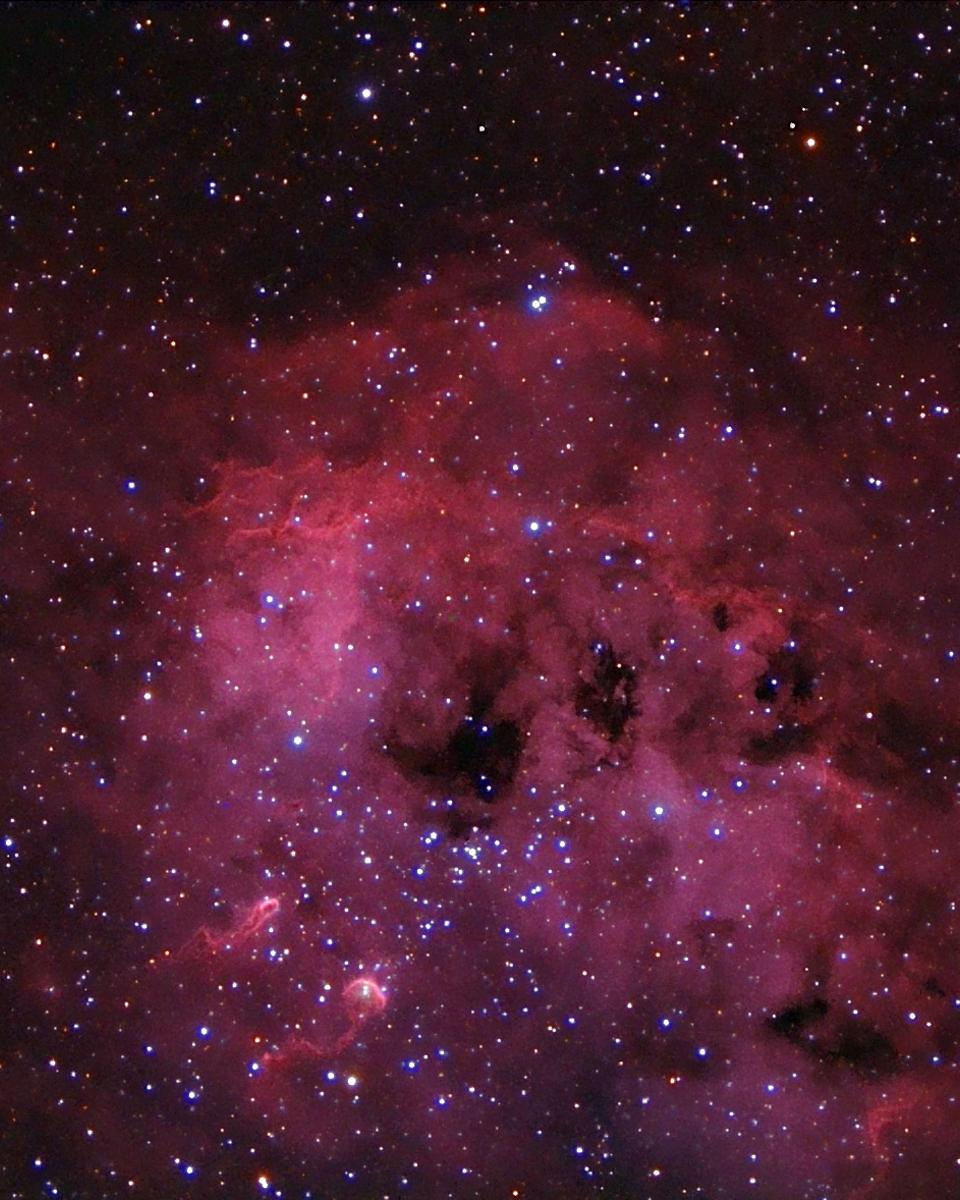 IC 410 and NGC 1893