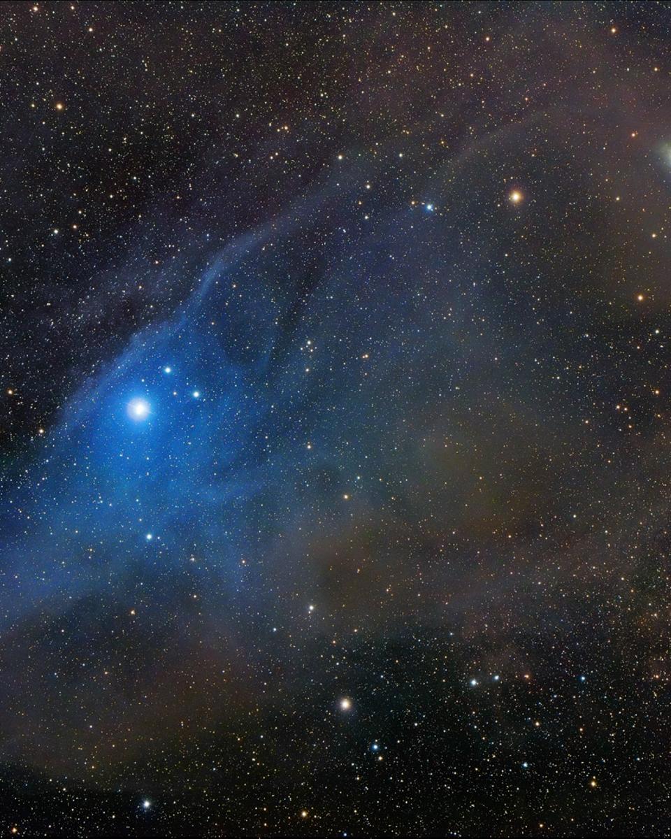 Horse Head Shaped Reflection Nebula IC 4592