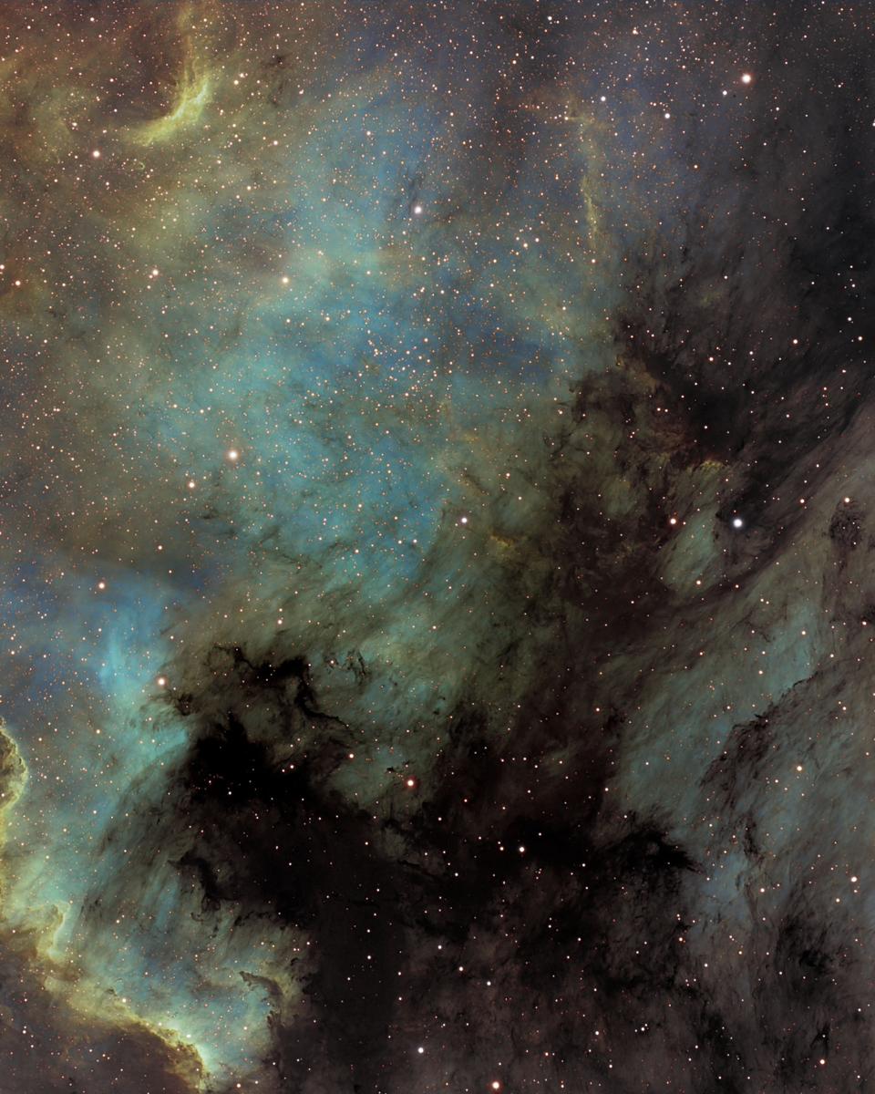 The North America and Pelican Nebulas