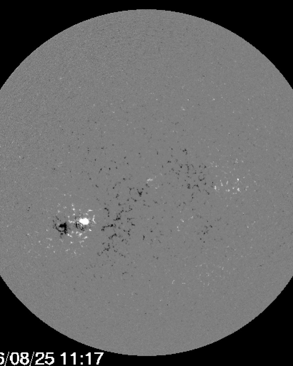 A Backward Sunspot and the New Solar Cycle