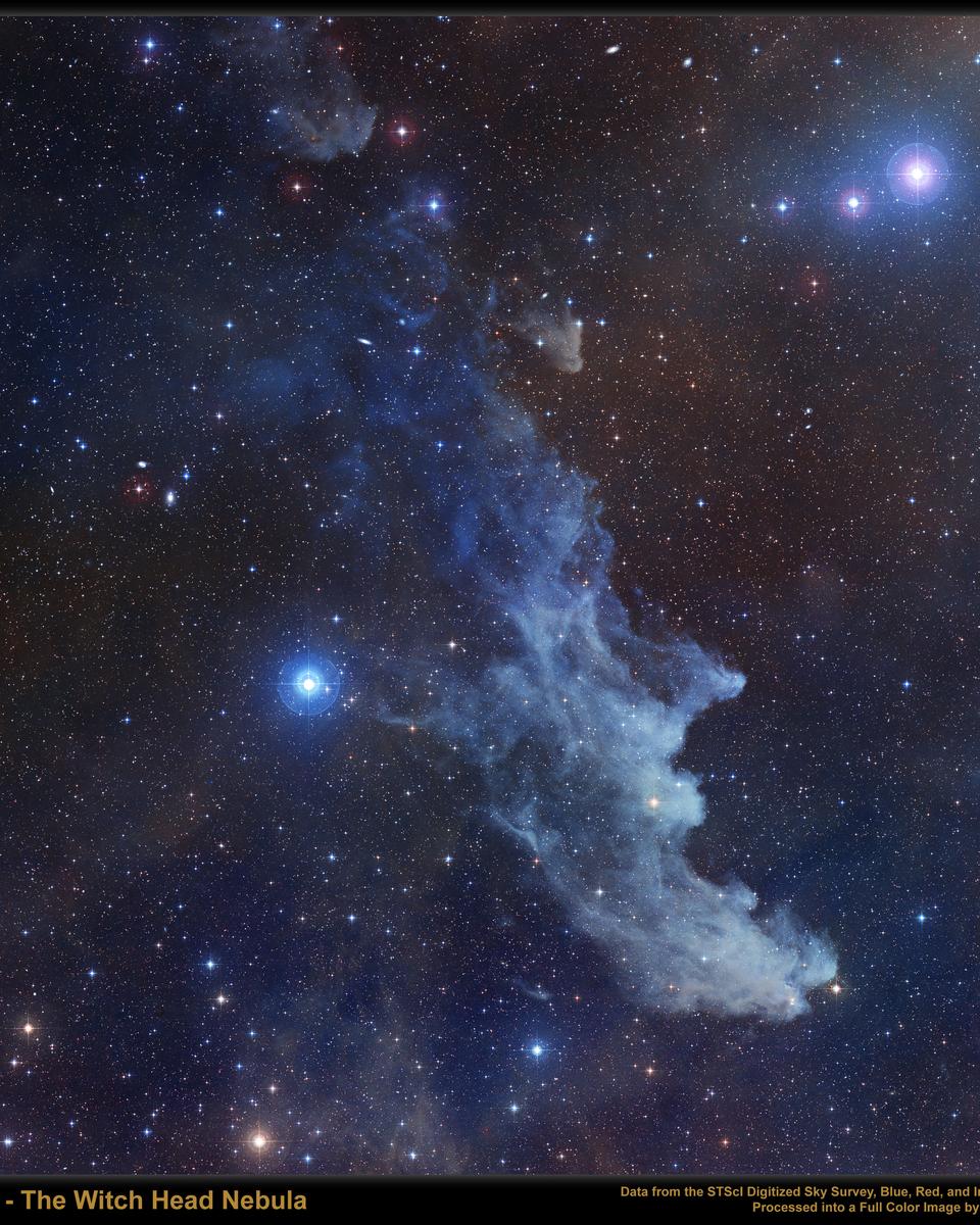 IC 2118: The Witch Head Nebula