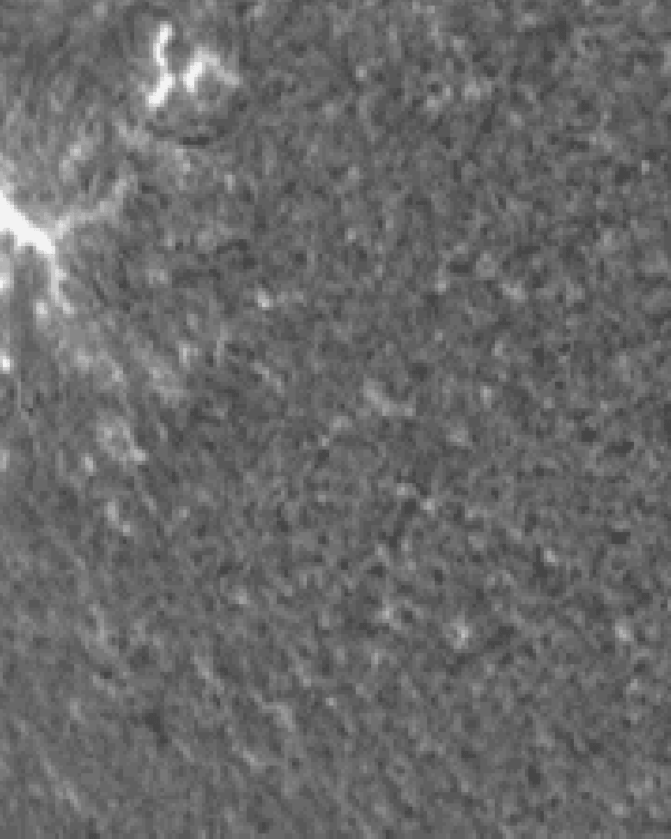 A Large Tsunami Shock Wave on the Sun