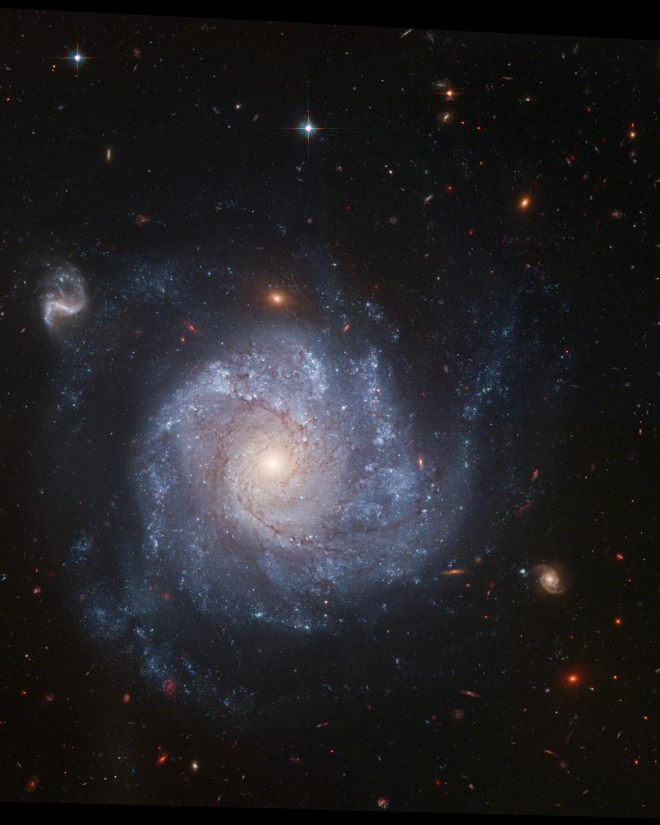 NGC 1309 and Friends