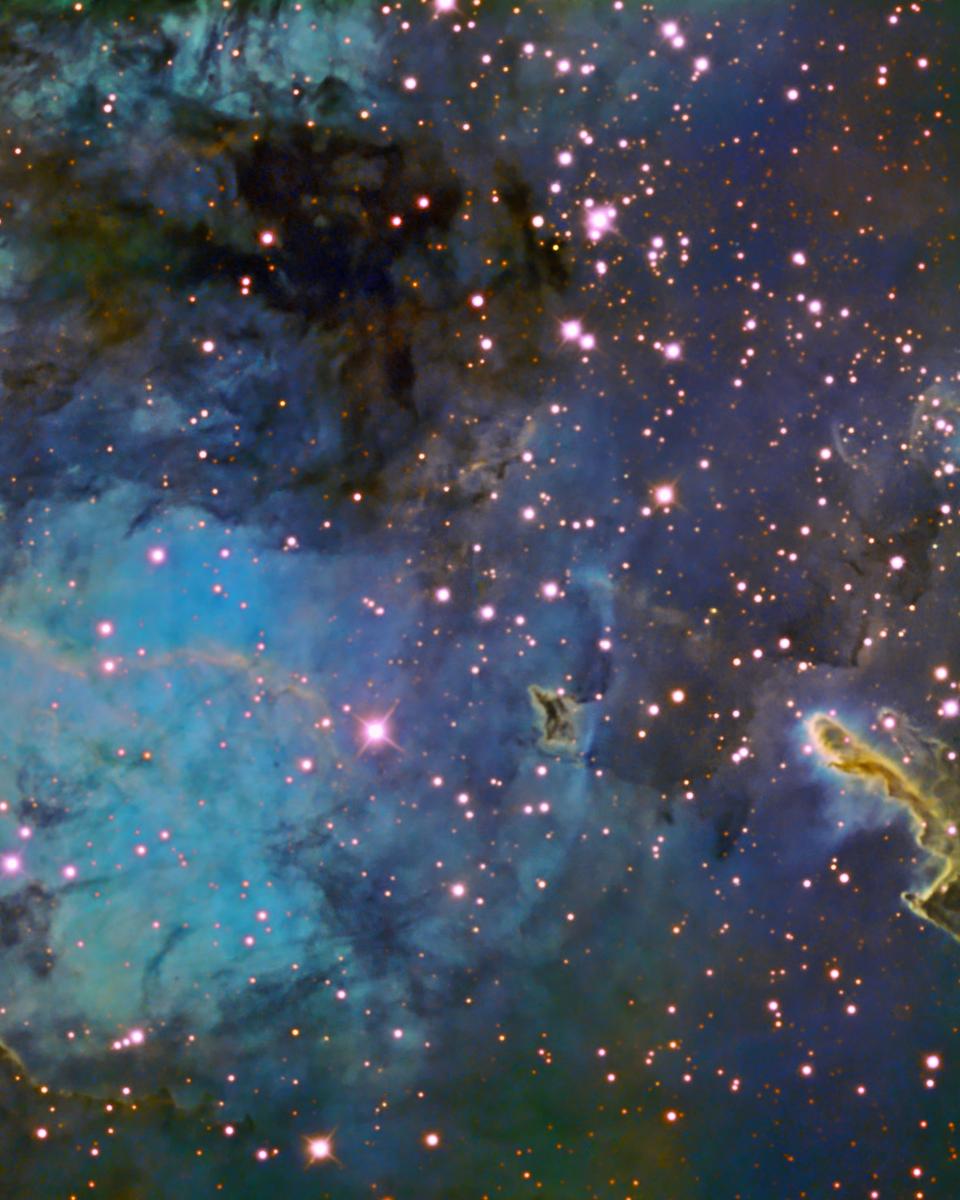 The Tadpoles of IC 410