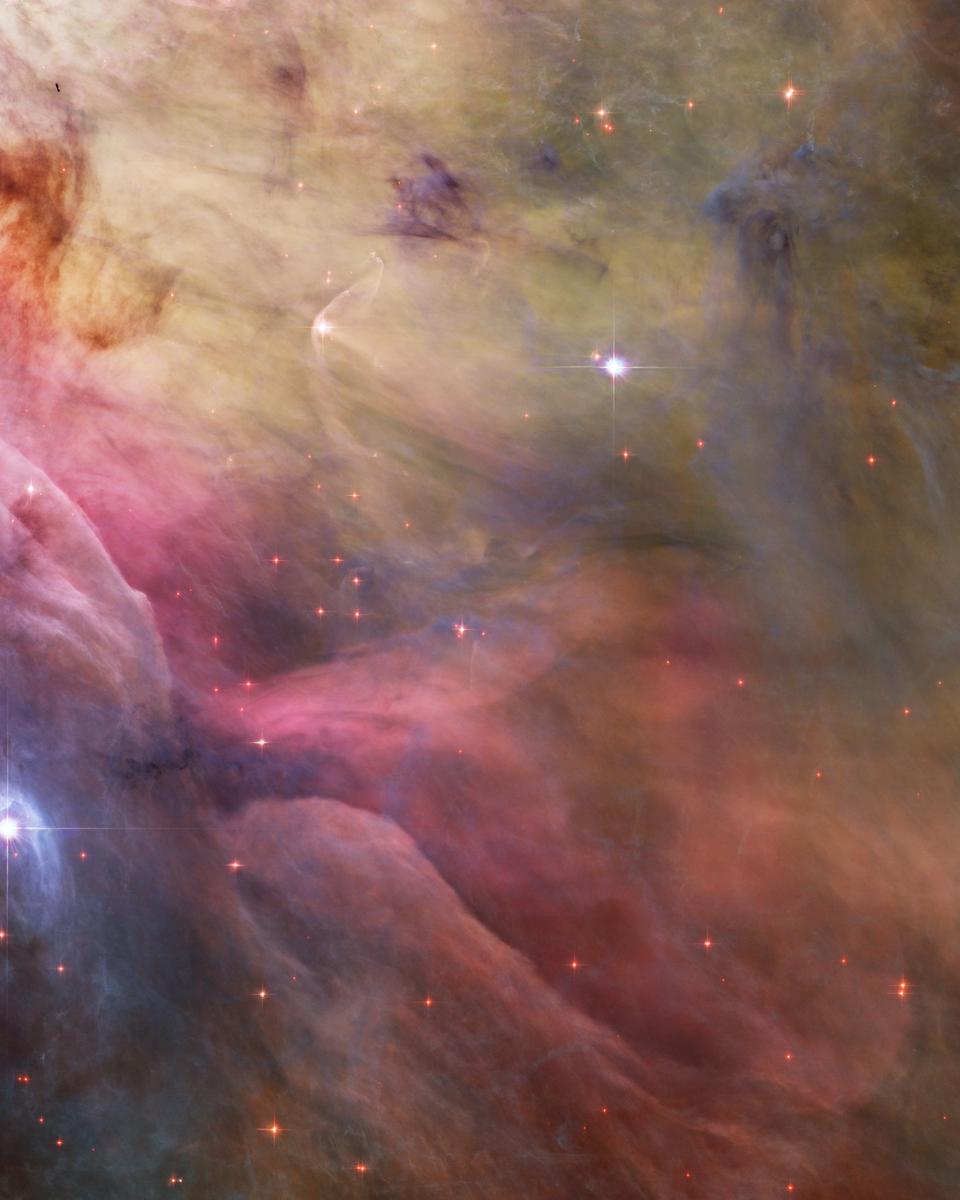 LL Ori and the Orion Nebula