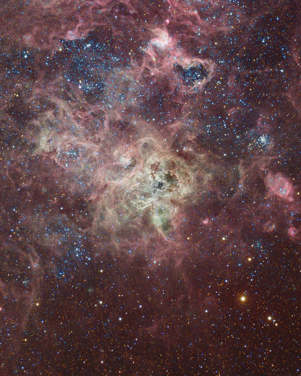 The Tarantula Nebula