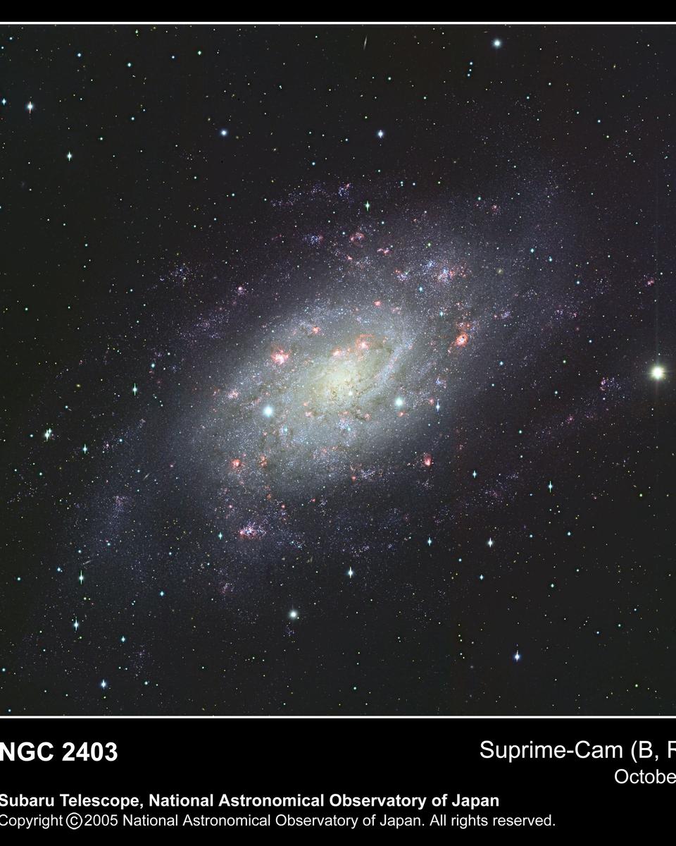 Spiral Galaxy NGC 2403 from Subaru