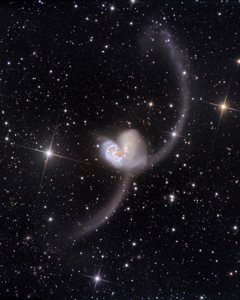 The Antennae