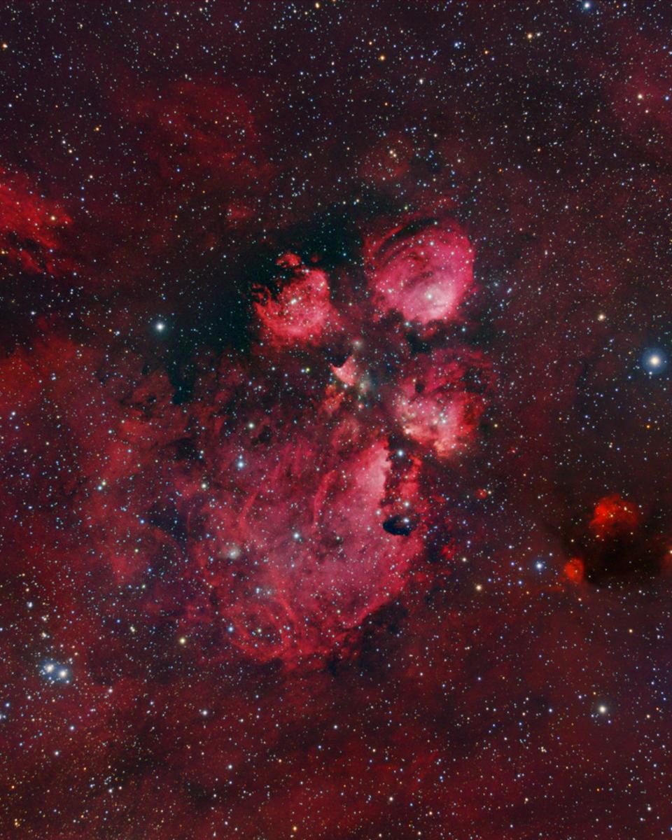The Cat's Paw Nebula