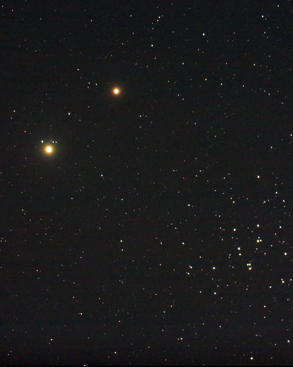 Planets, Bees, and a Donkey