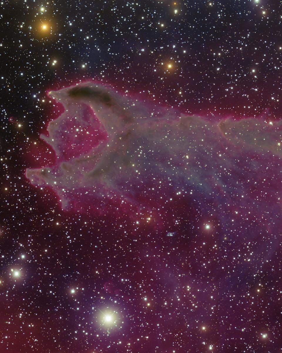 CG4: A Ruptured Cometary Globule