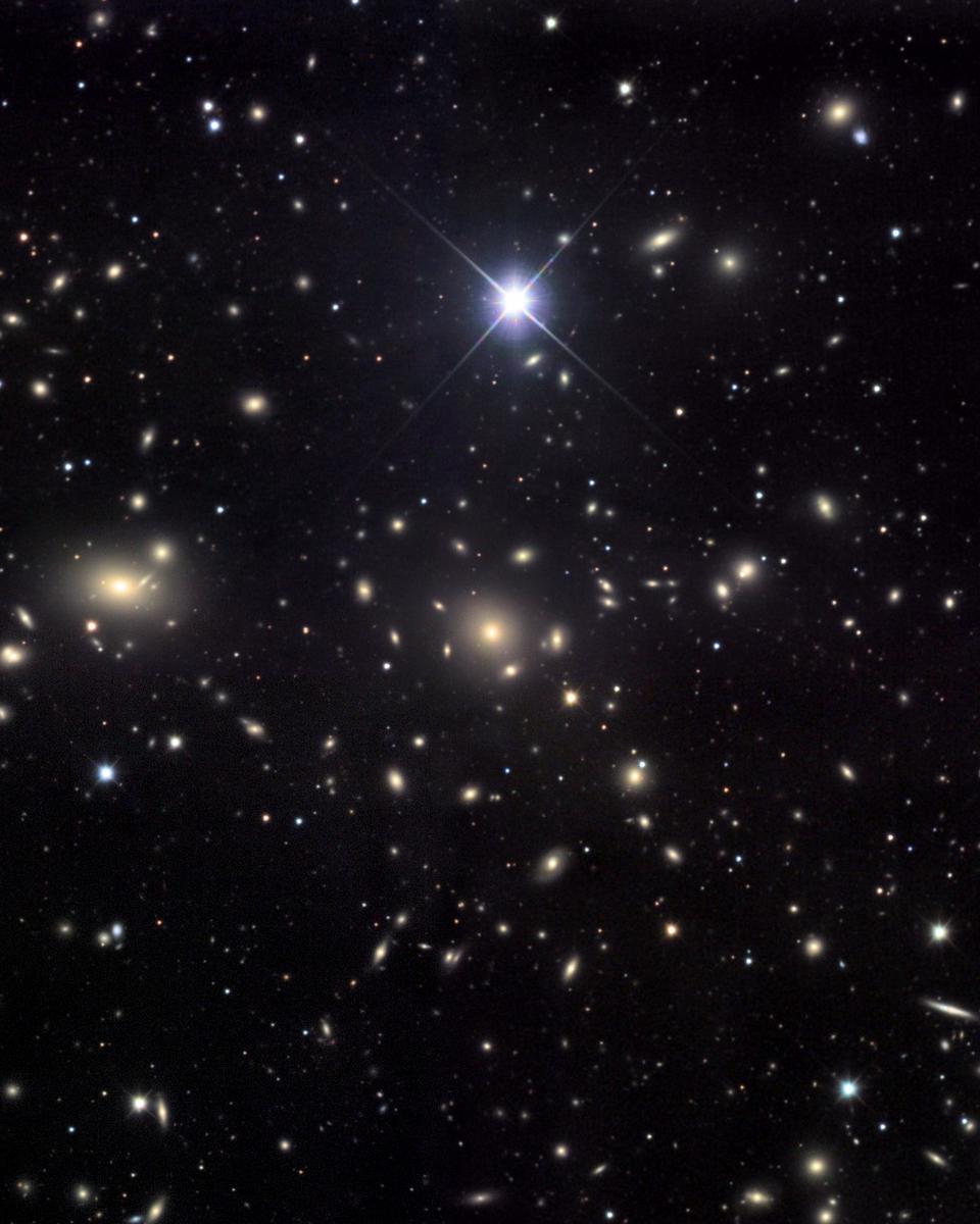 The Coma Cluster of Galaxies