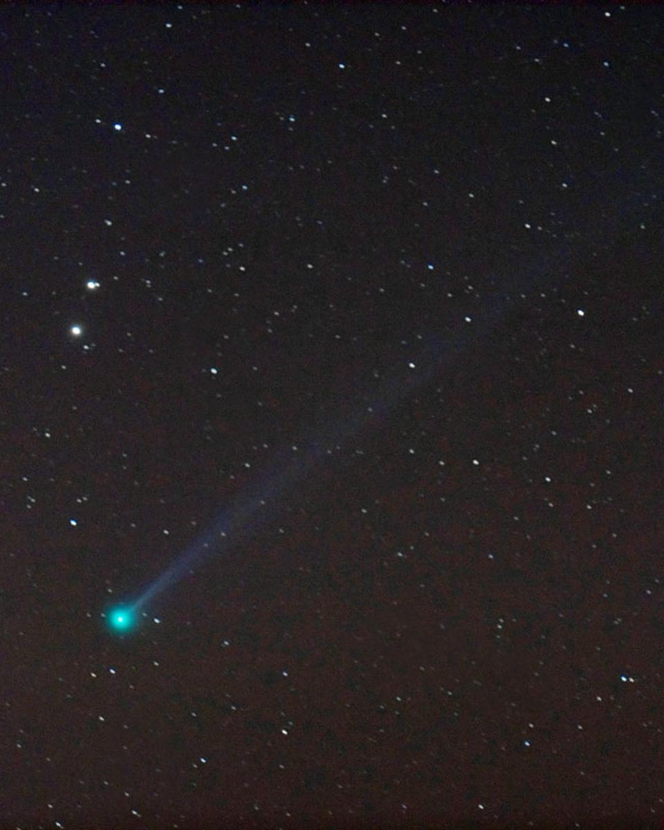 Unexpected Comet Pojmanski Now Visible