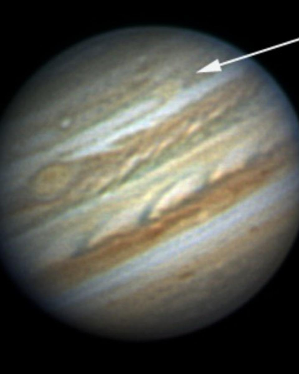 Red Spot Jr.