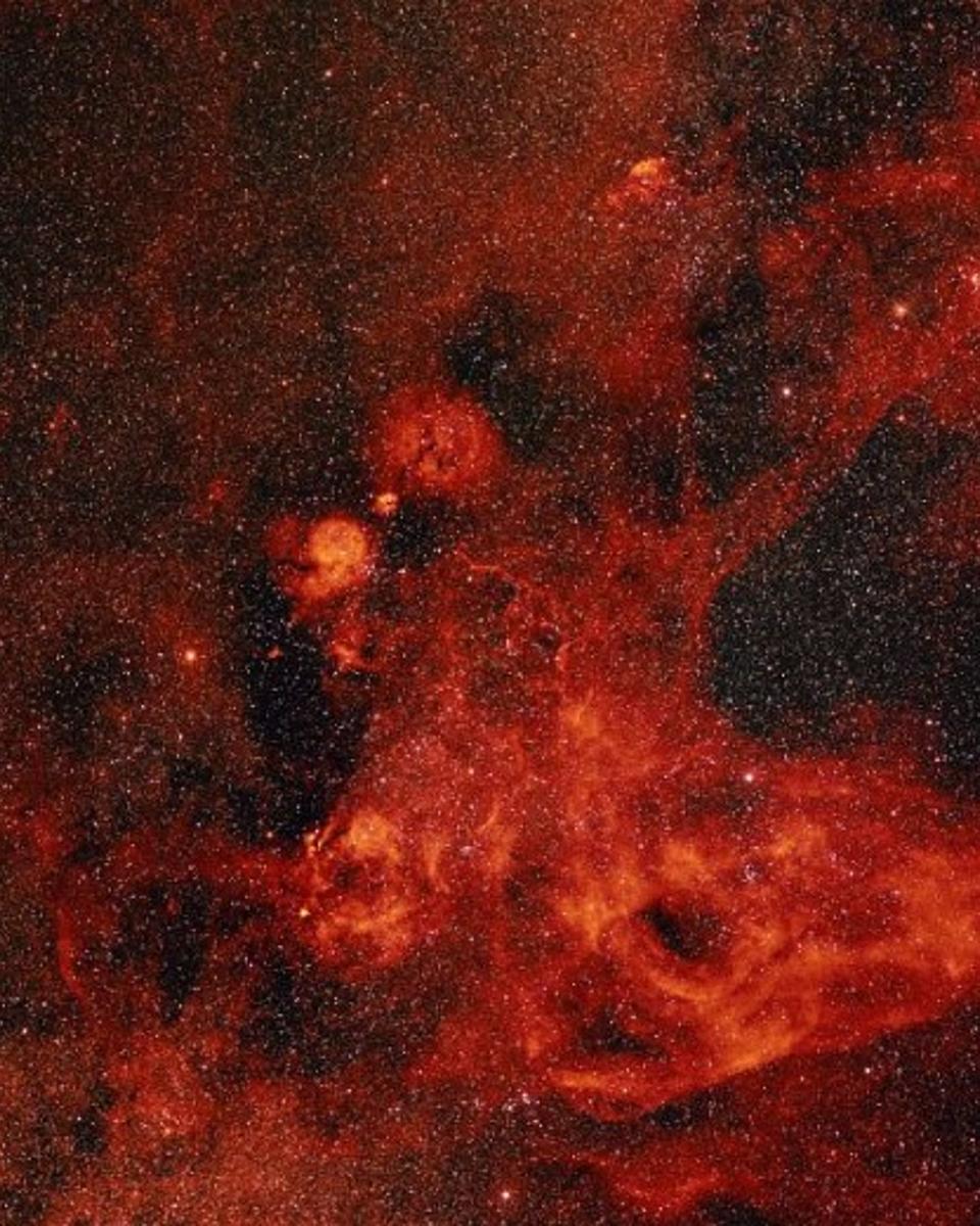 The Gum Nebula