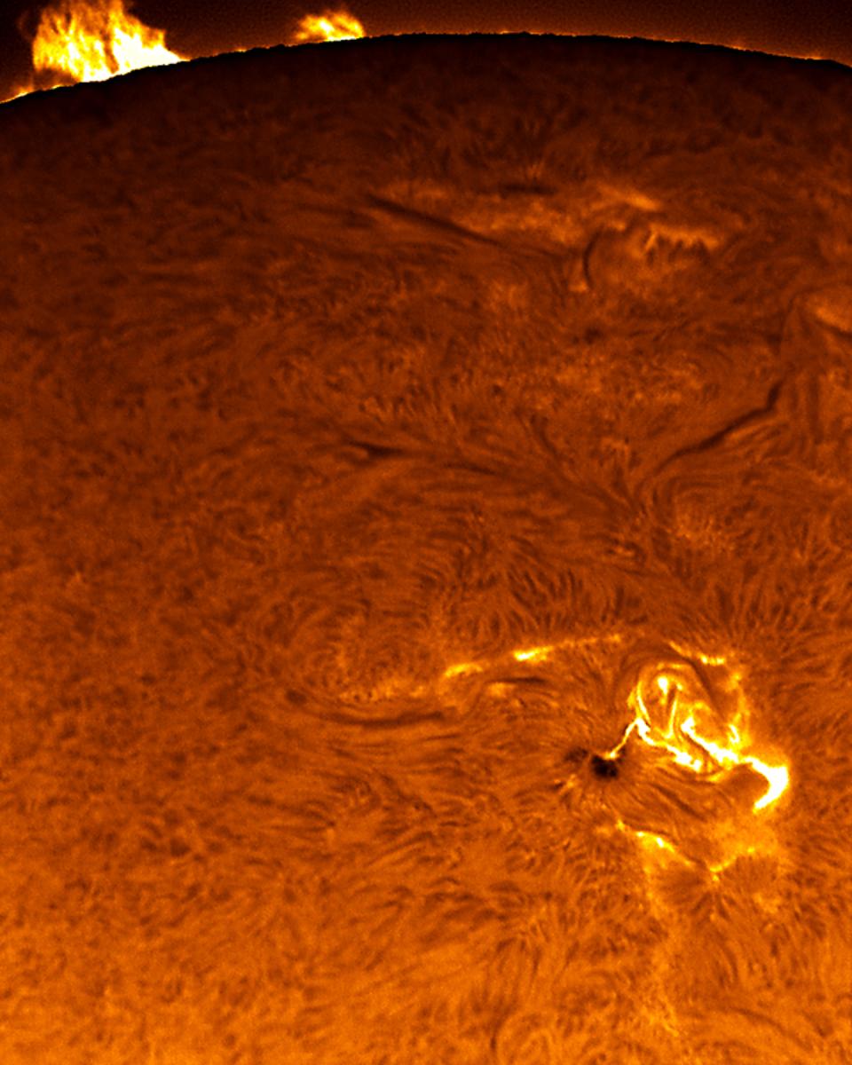 Sunspot 875 Flares