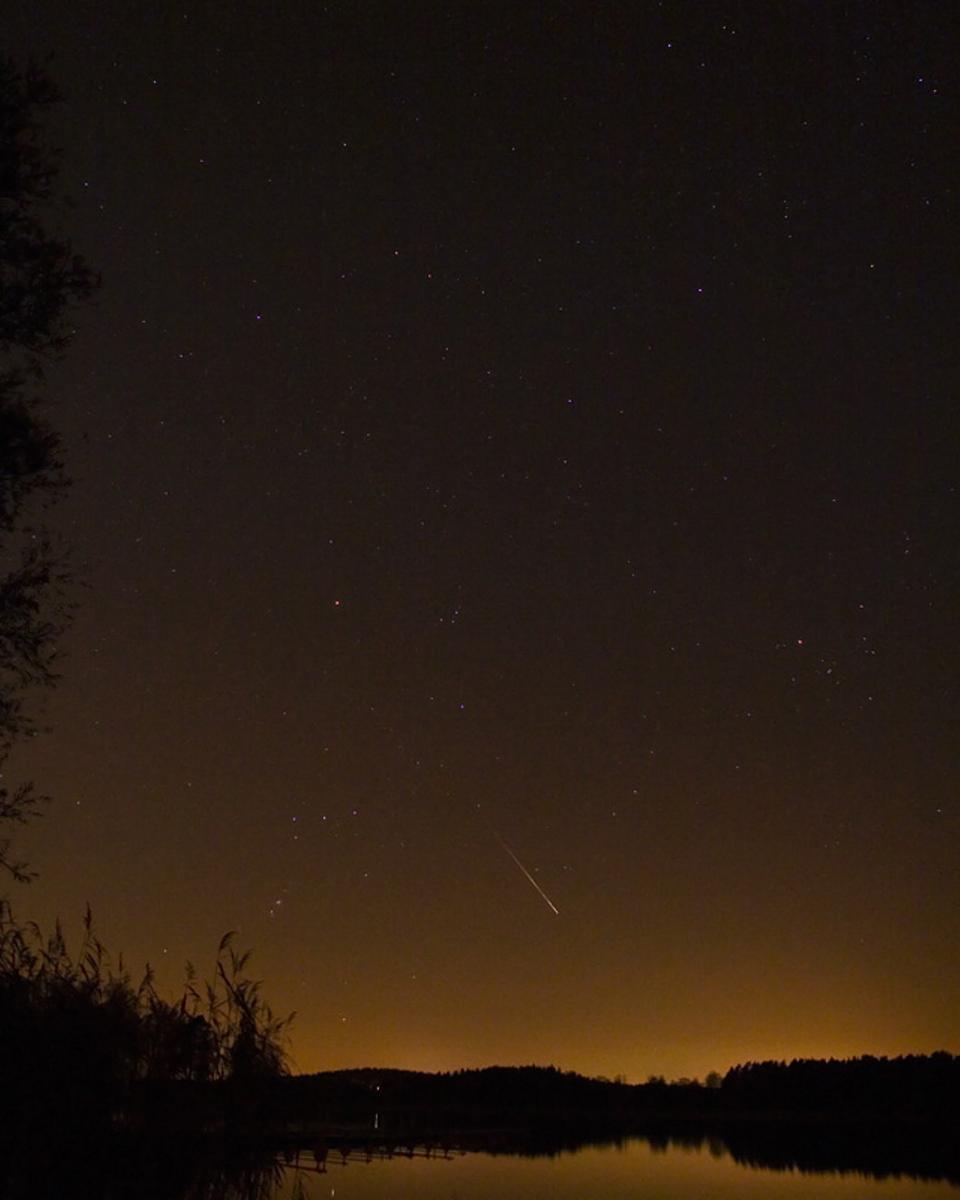 A Leonid Meteor Over Sweden