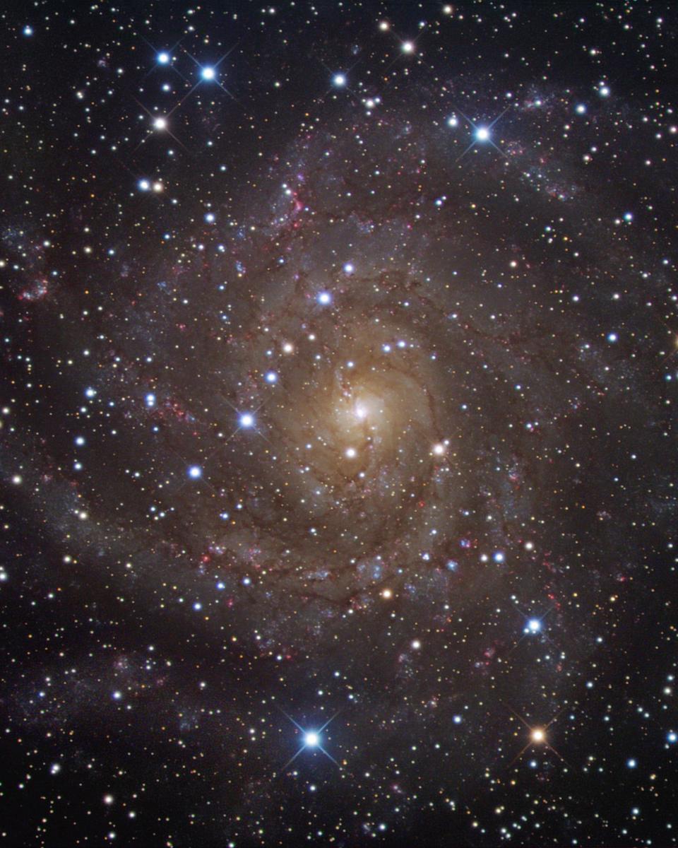 Hidden Galaxy IC 342