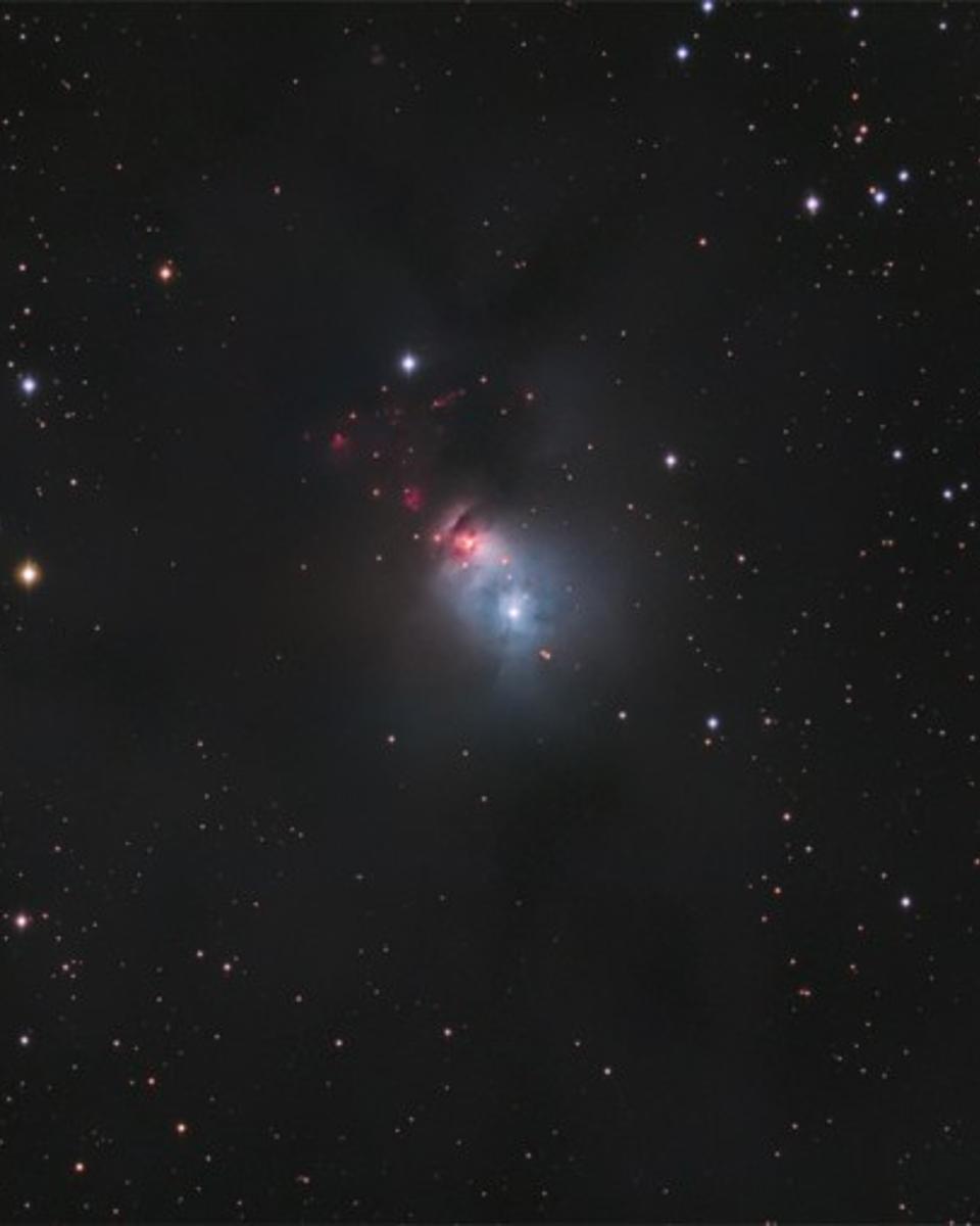 Dusty NGC 1333