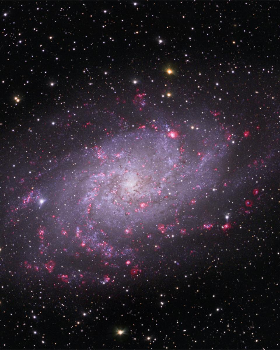 M33: Spiral Galaxy in Triangulum