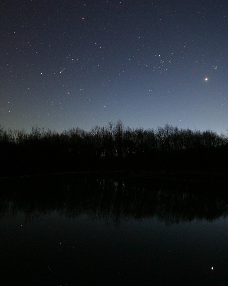 Venus by the Lake