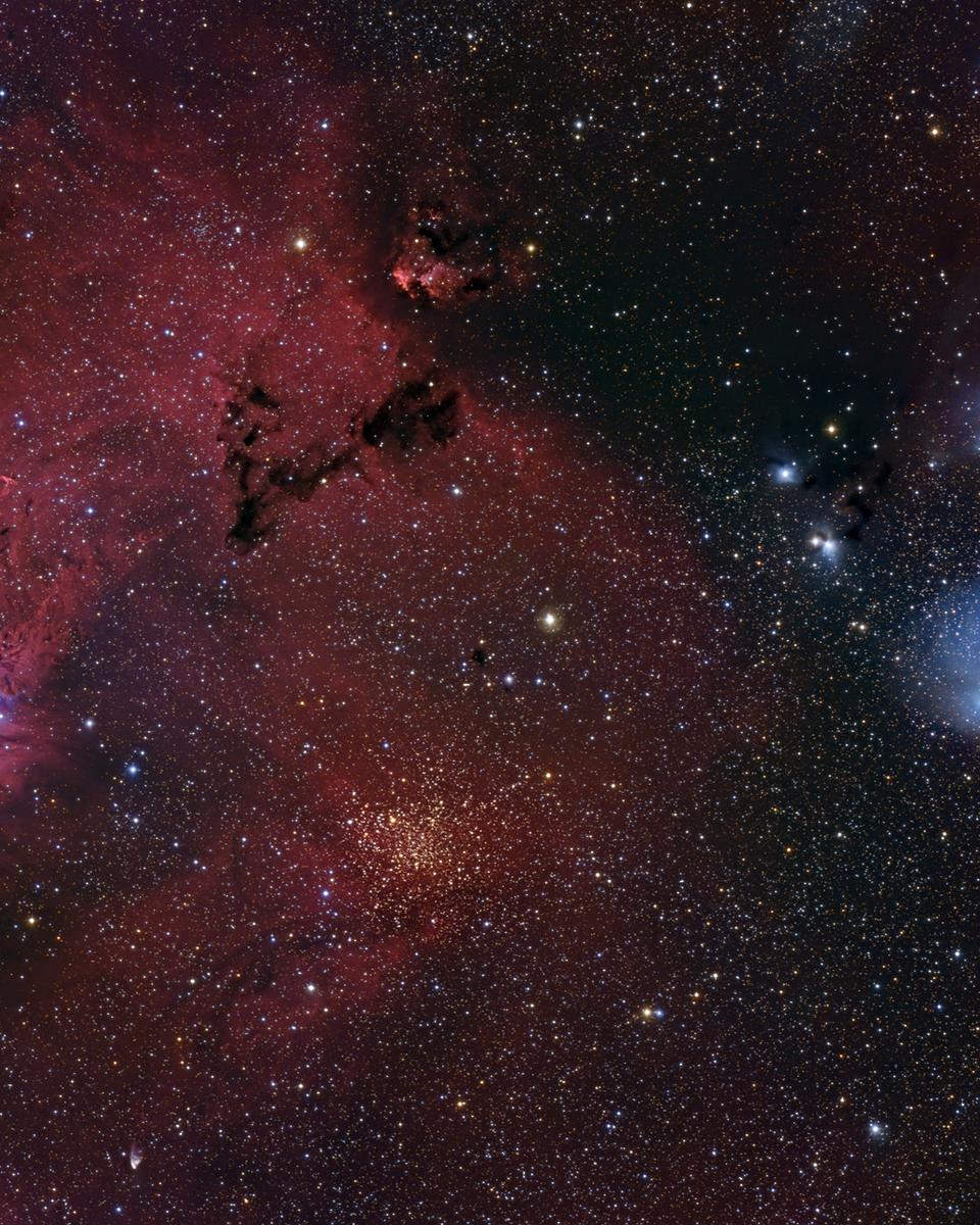 The Cone Nebula Neighborhood