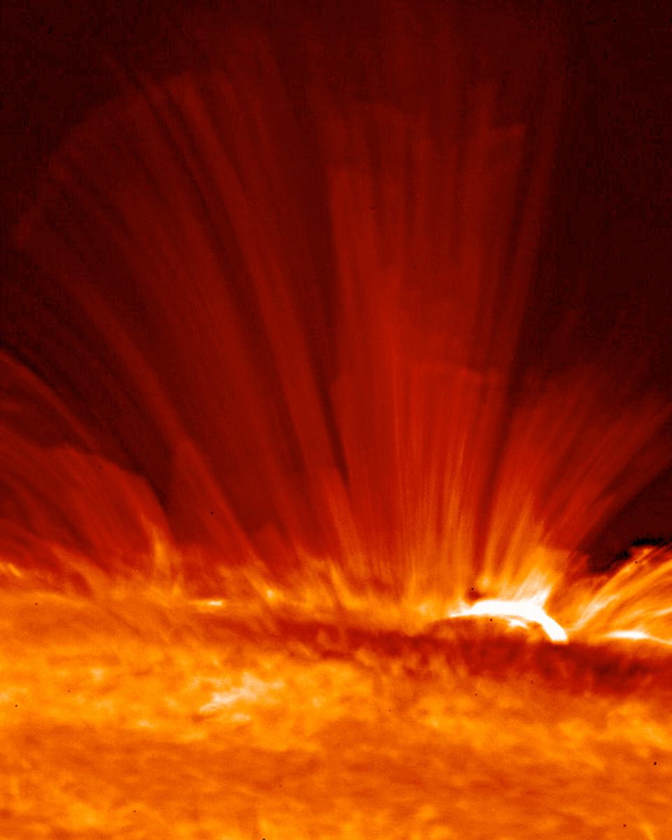 An Active Sunspot Viewed Sideways