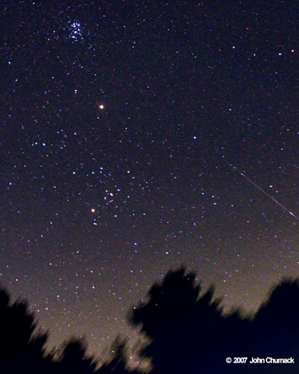 Moonless Perseid Sky