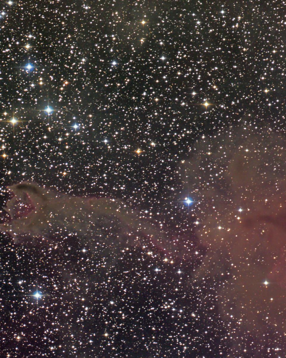 CG4: A Ruptured Cometary Globule