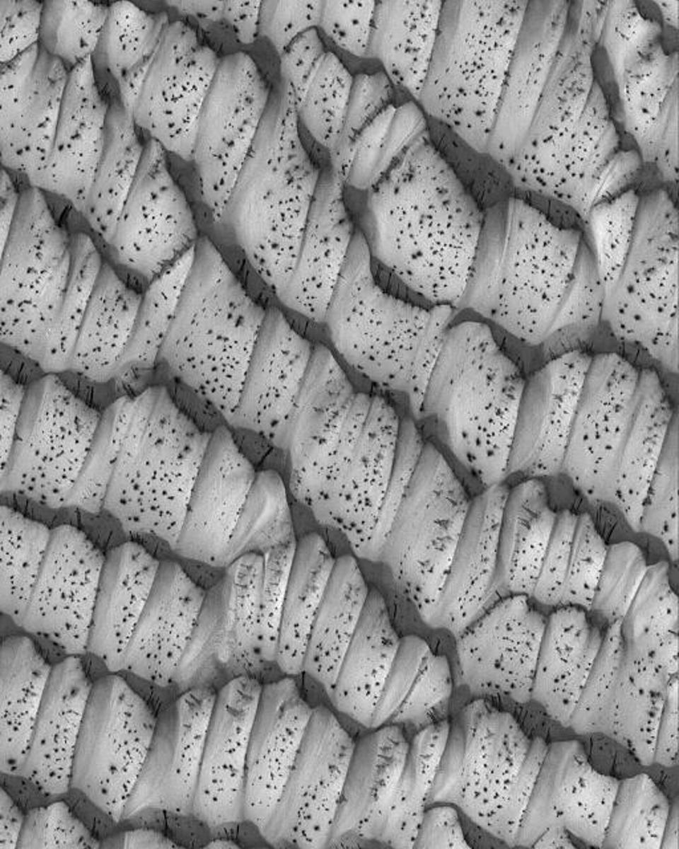 The Dotted Dunes of Mars