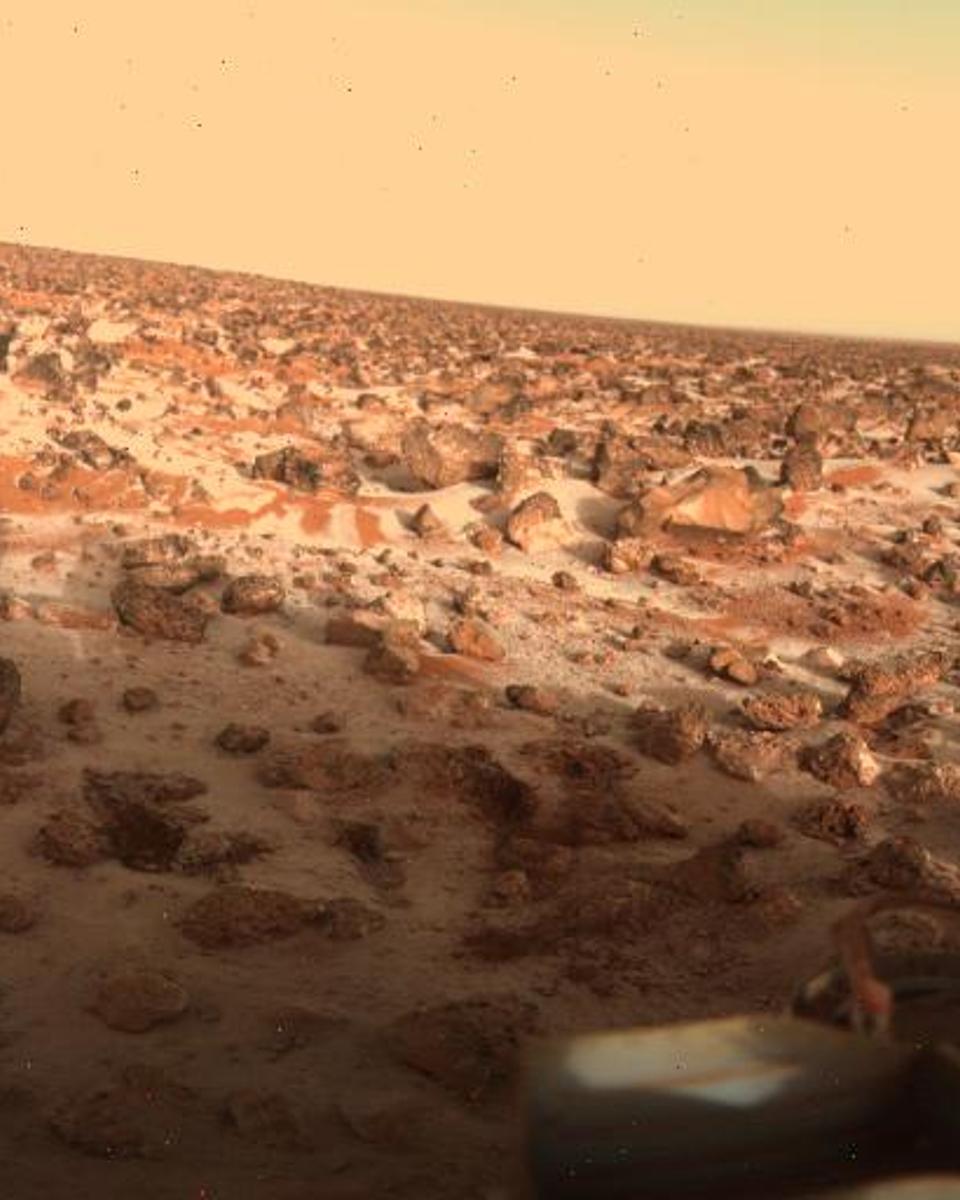 Could Hydrogen Peroxide Life Survive on Mars?