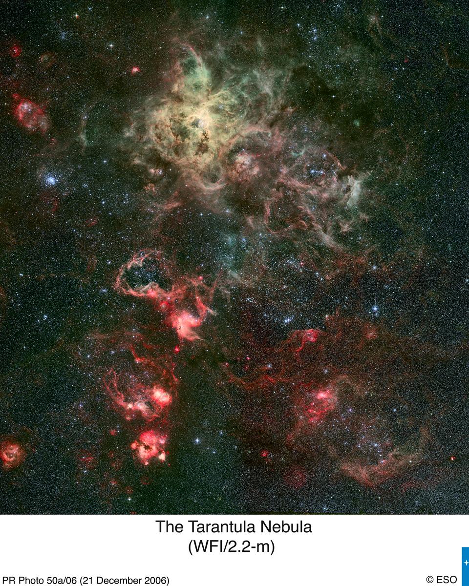Tentacles of the Tarantula Nebula