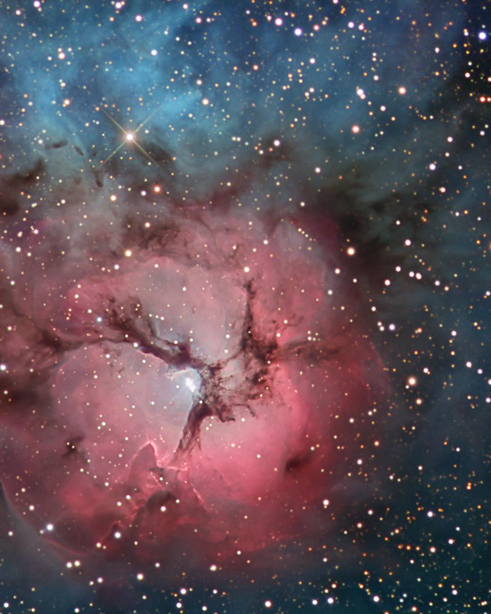 The Trifid Nebula in Stars and Dust